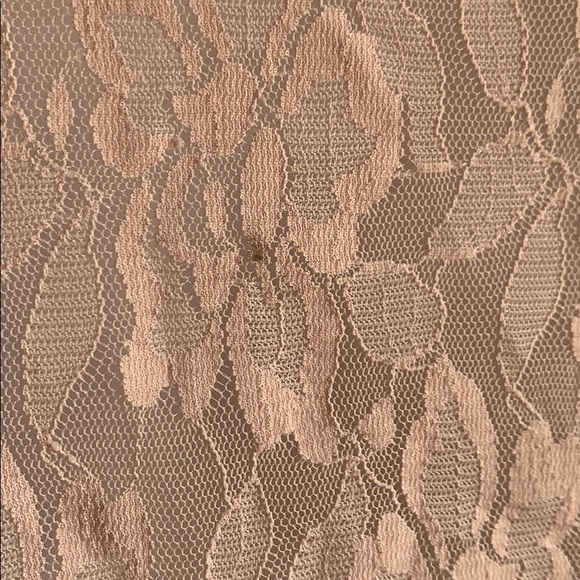 Light Pink Lace Reitman’s Button Up Blouse - Picture 6 of 12